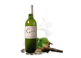 Sauvignon