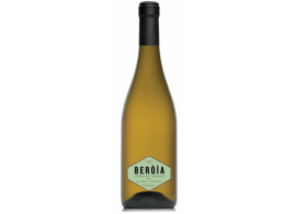 Laurène Blanc de Beroia