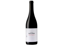 Soleil du Languedoc rouge du Château guilhem