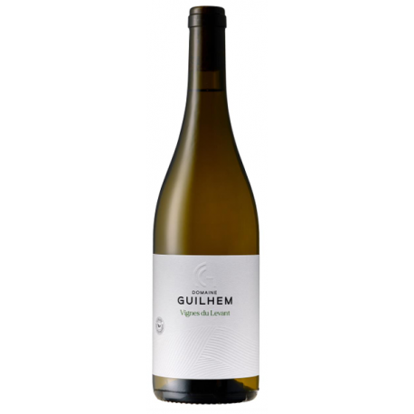 Vignes du levant blanc du Château Guilhem