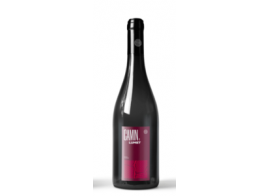 Lo Camin rouge de La Coume Lumet